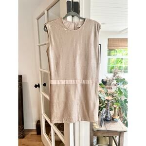 Halston Sequin Shift Dress – Blush Pink, Size 6